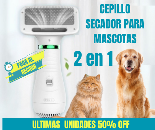 PET BEAUTY ™ CEPILLO SECADOR 2 EN 1